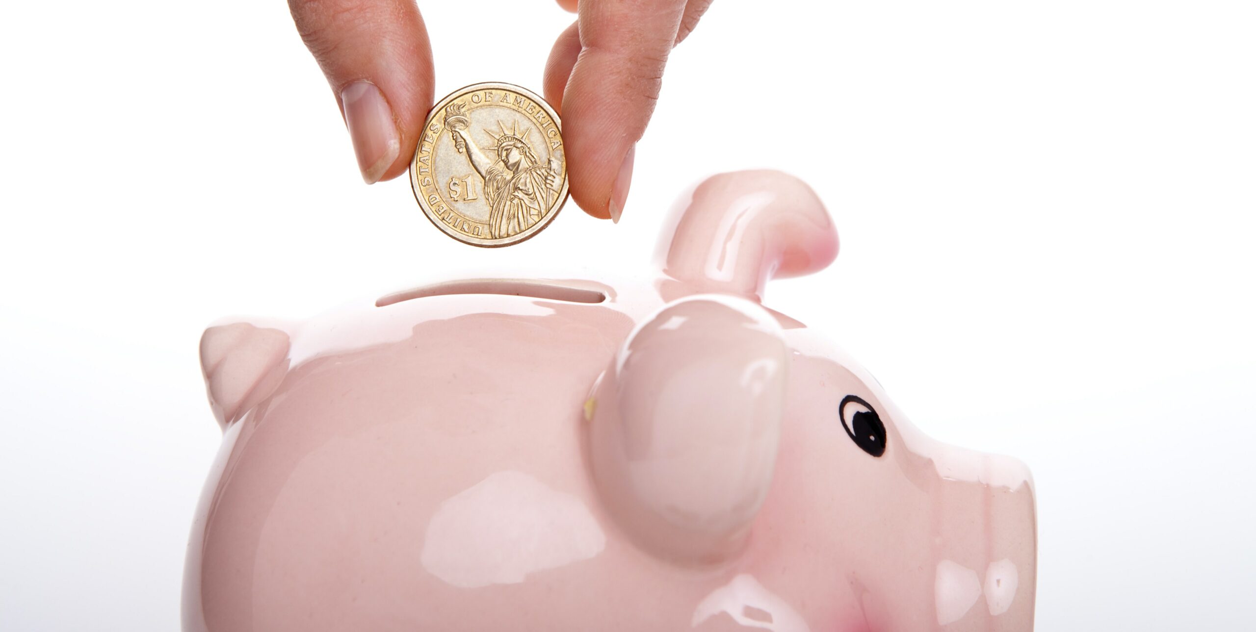 funding for volunteer programs piggy banks